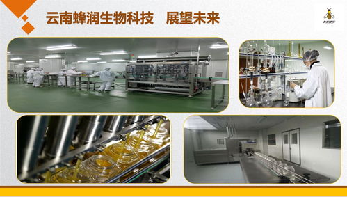 云南蜂潤集結愛心，科技助殘奧健兒出征